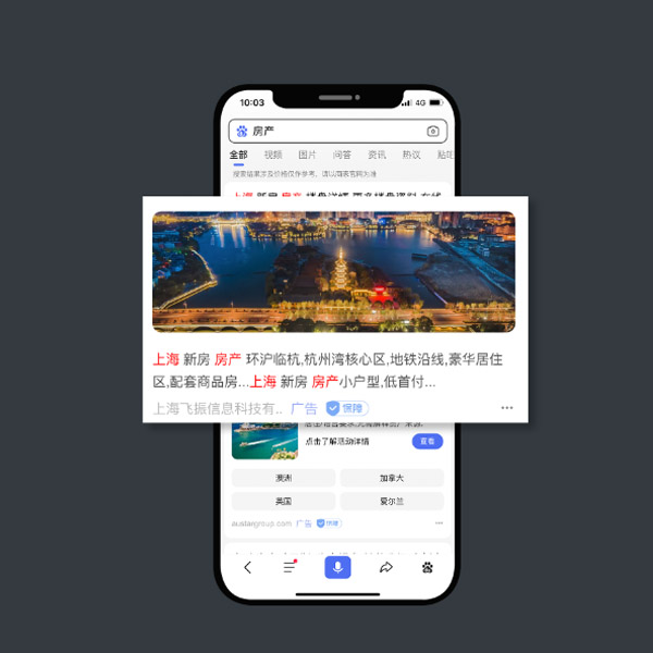 競價(jià)排名包年